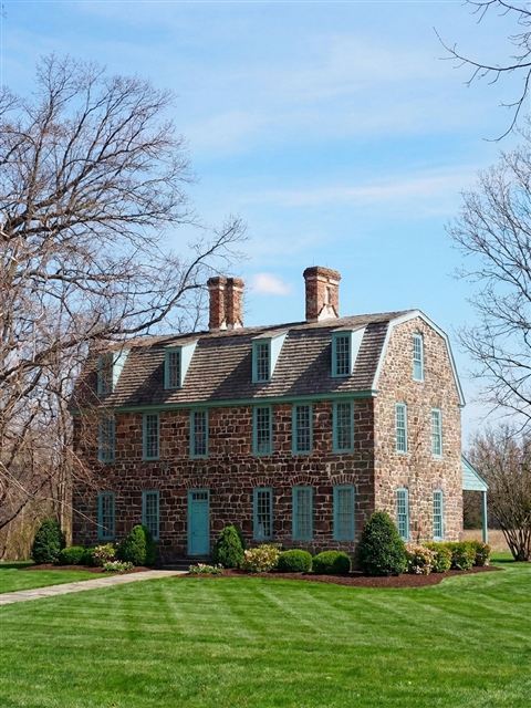 Lush, striped green lawn after seasonal lawn care — Charlottesville, VA