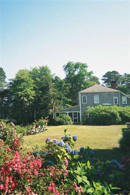 Manicured lawn, trimmed hedges, and garden beds after landscaping — Charlottesville, VA