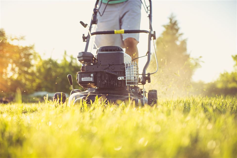 Overgrown grass being cut with a push mower — lawn mowing service Charlottesville, VA, before