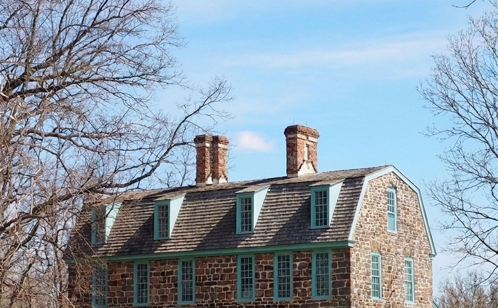 Established green lawn on a residential property — lawn care in Albemarle County, VA