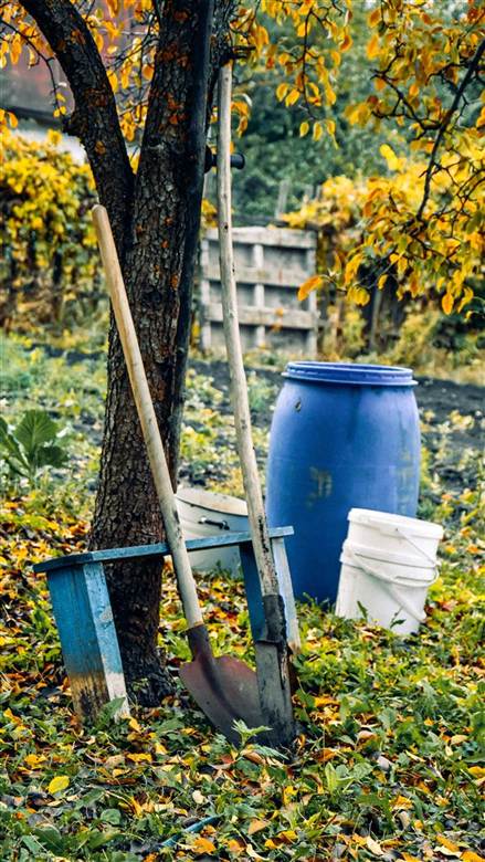 Yard tools and debris bins staged for autumn cleanup — spring and fall cleanup service