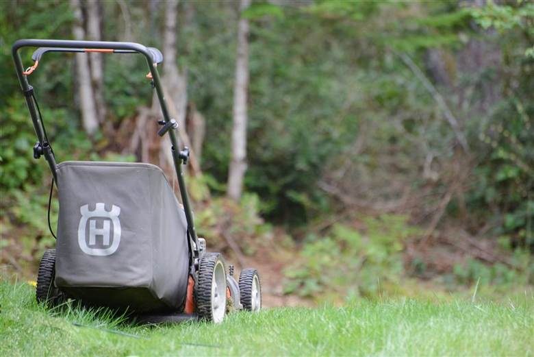 Push mower cutting grass — lawn mowing and maintenance service, Charlottesville, VA